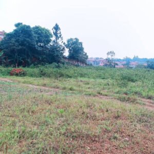 50x100 on the main tarmac road in Kiwologoma, Kira, Wakiso, Kenya Land title available